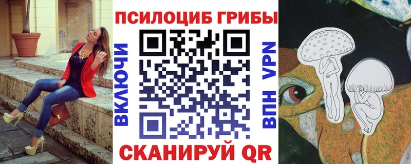 hydra ТОР  Велиж  Псилоцибиновые грибы Psilocybe 